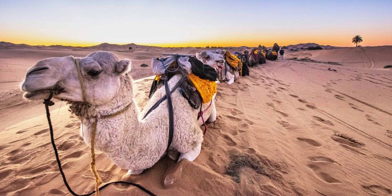 The Ultimate Day Morocco Itinerary Starting Points Maps