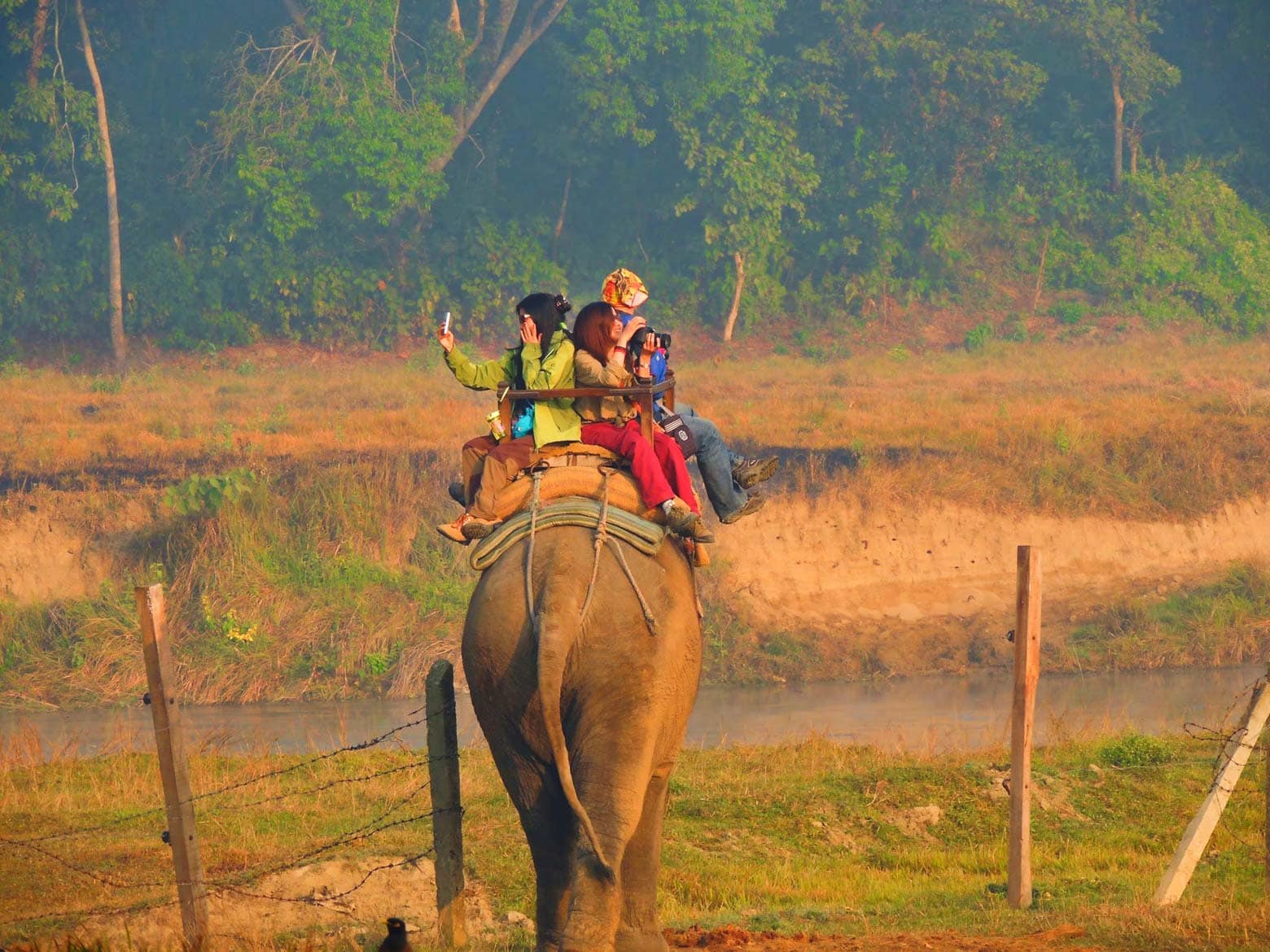 Elephant nature park's project - elephant trails spread awareness against elephant riding