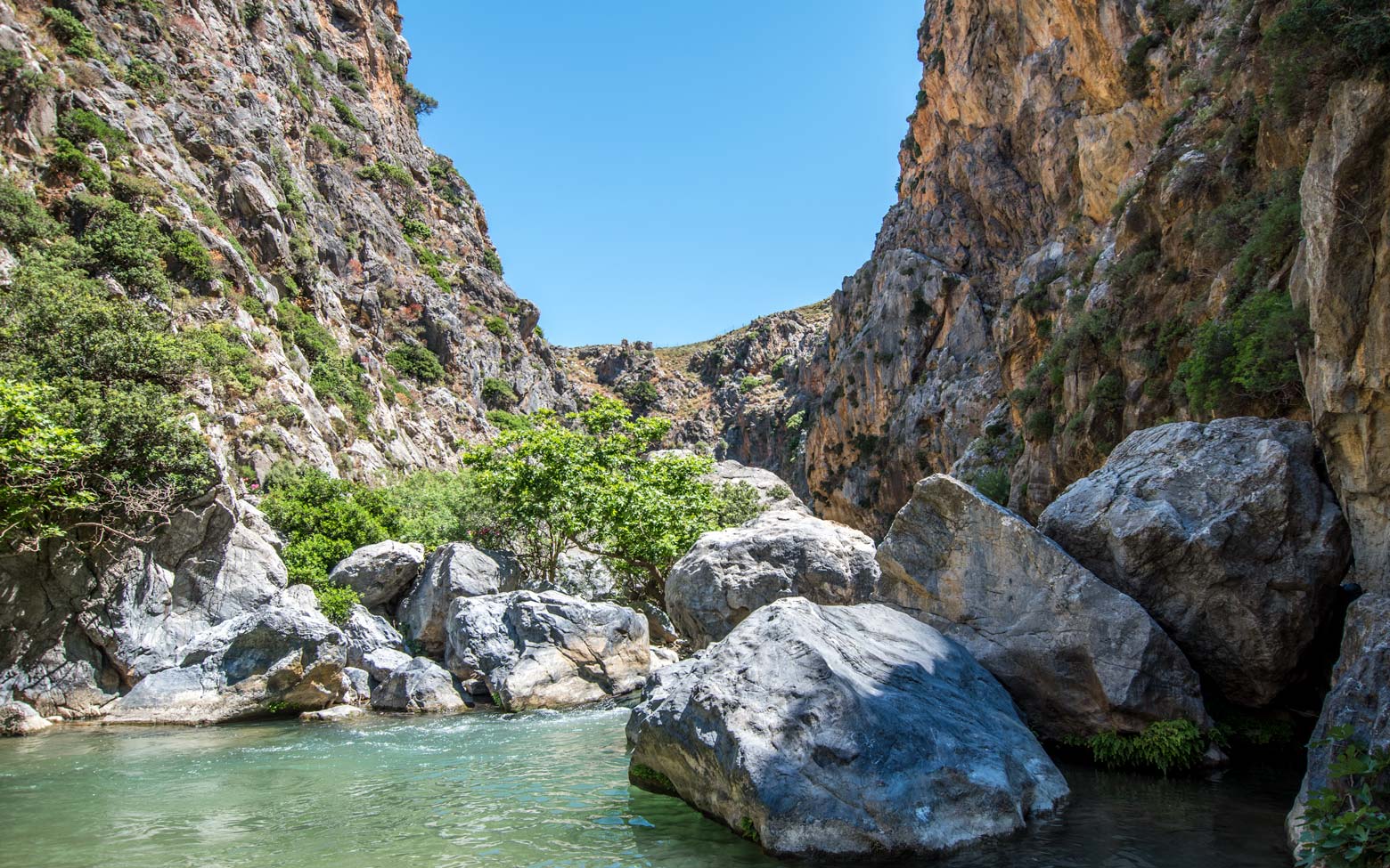 photo crete - palm canyon preveli 