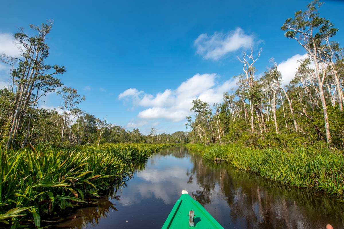 borneo tour trips