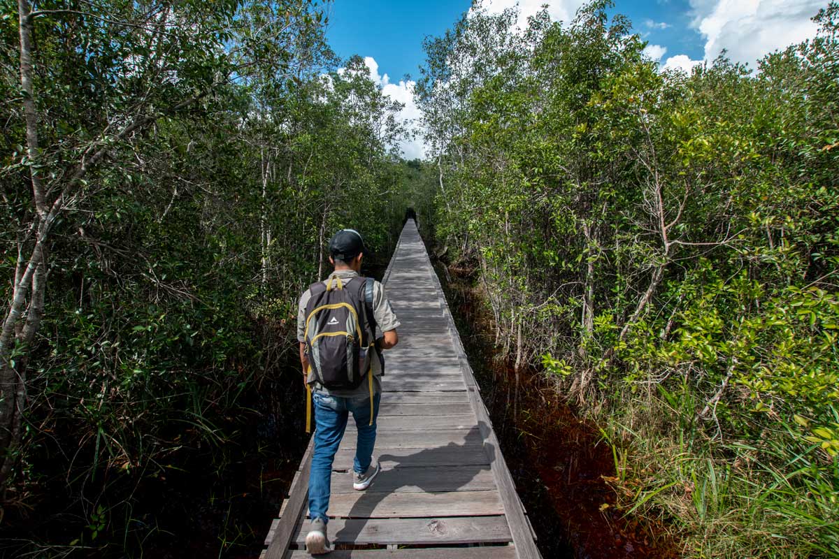 orangutan tour - camp leaky path