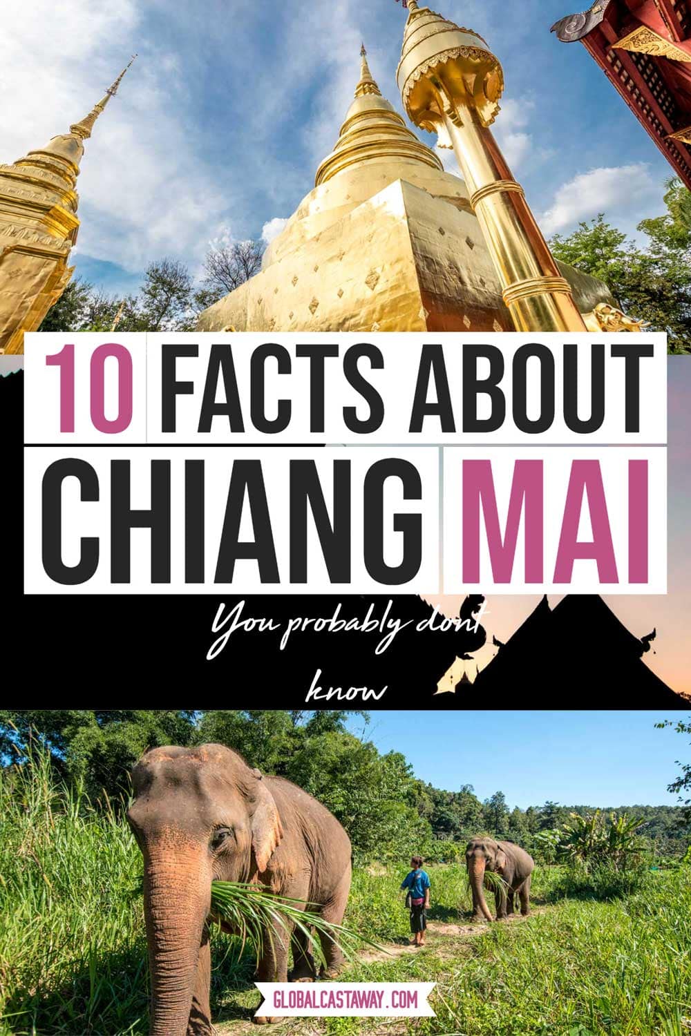 facts-about-chiang-mai-pin