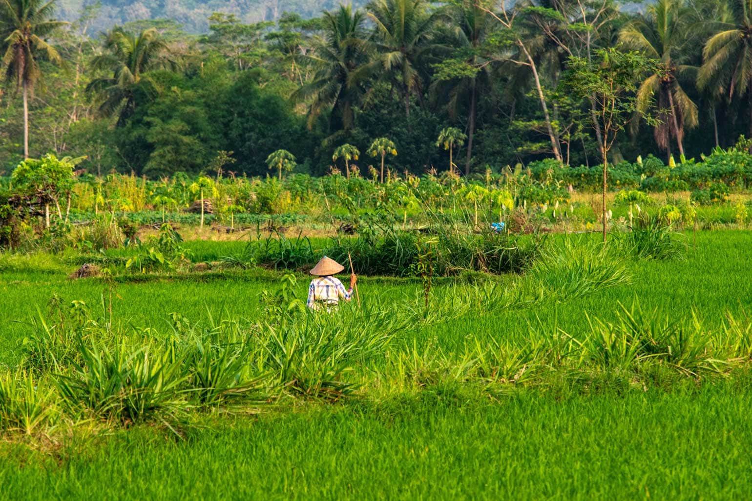 borobudur village