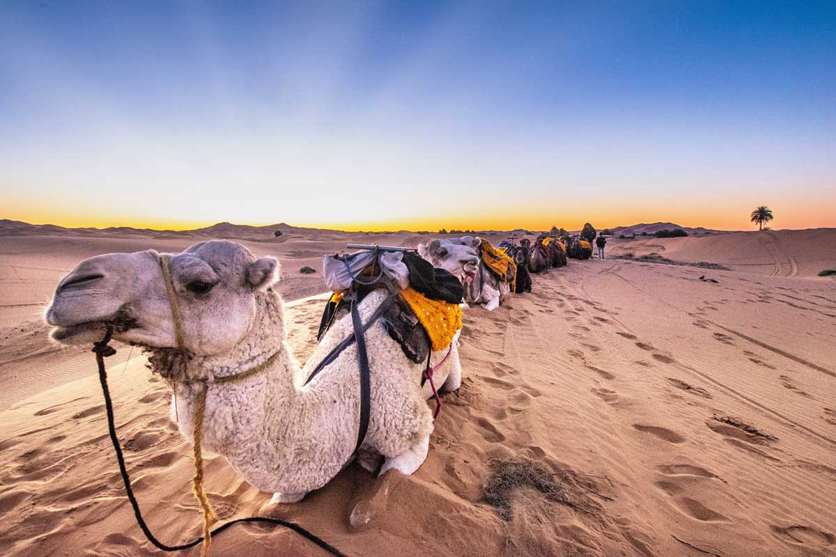 10 Day Morocco Itinerary - Sahara Desert