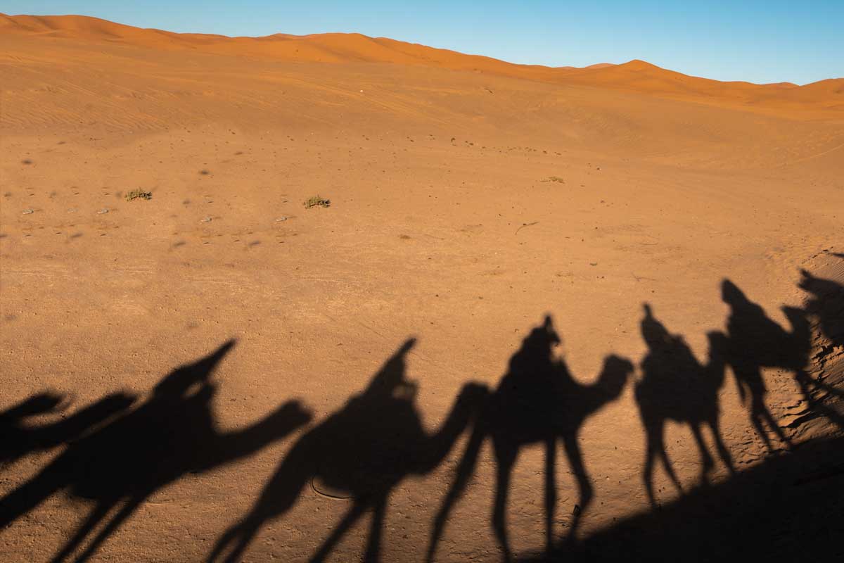 Sahara Desert-Camel Riding