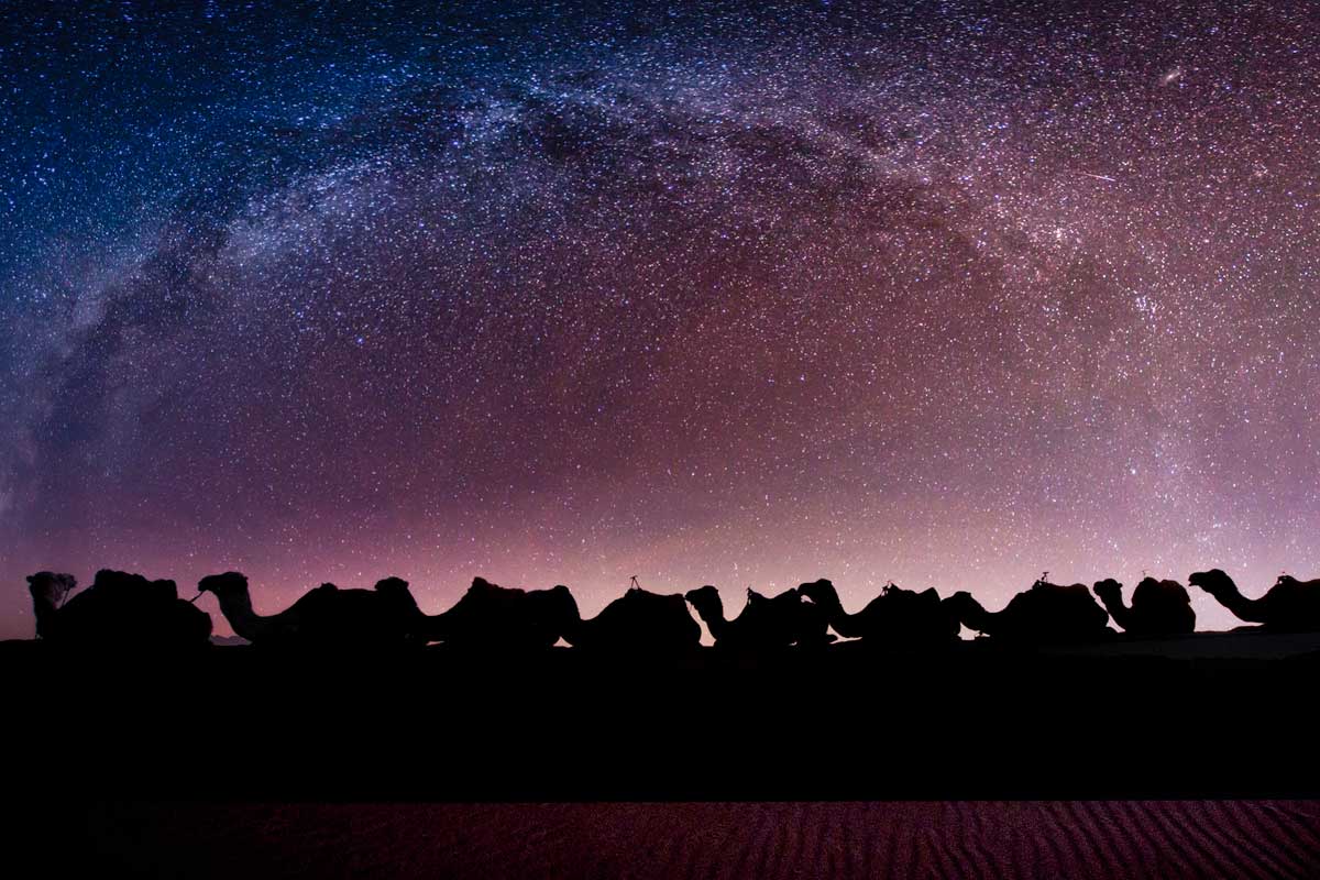 The Million Stars of the Sahara Desert