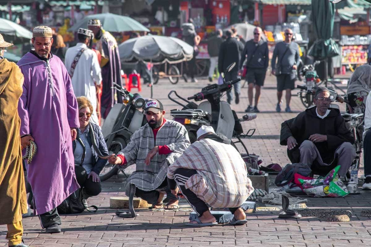 What not to do in Marrakesh - snake charmers