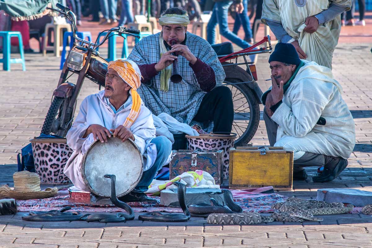 three snake charmers on the Marrakech sqaure with a few snakes in front of them
