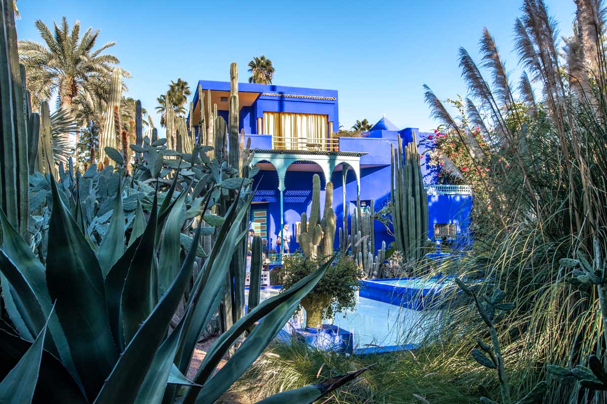 what is marrakech famous for -iconic blue building of jardin majorelle behind some cactuses