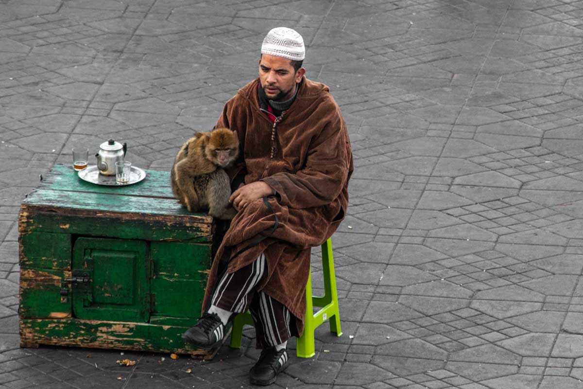 What not to do in Marrakesh-say no to the monkey tamers