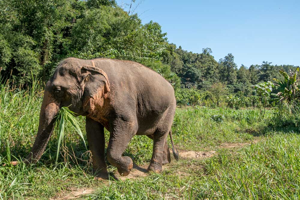 Is it safe to travel in Thailand?