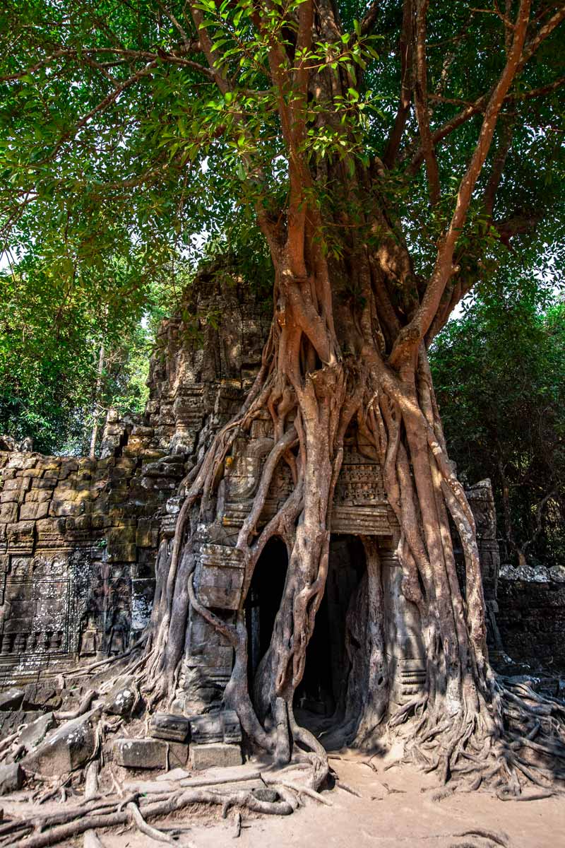 Angkor Temple