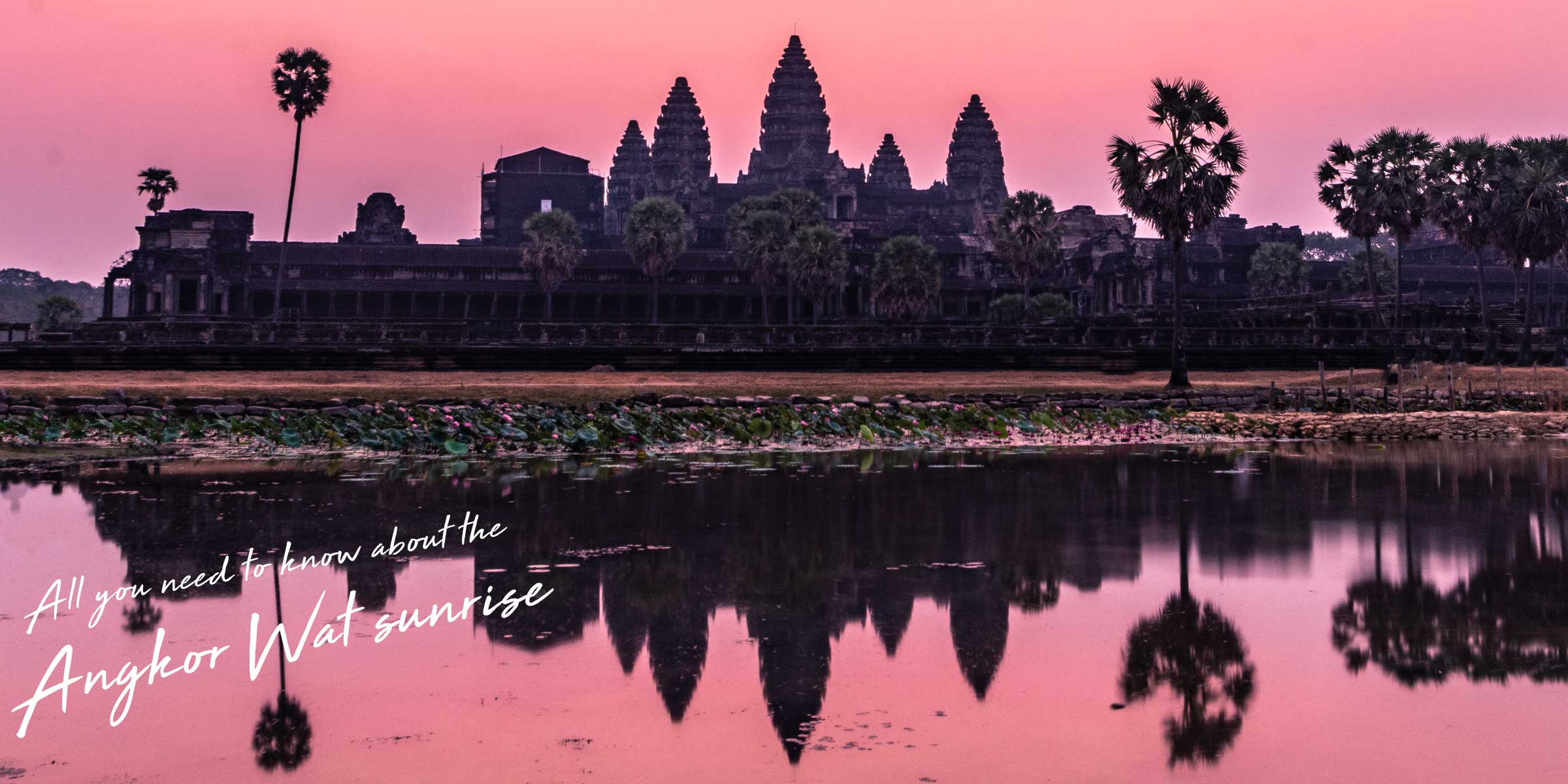 Angkor Wat Sunrise – All You Need to Know About The Most Famous Sunrise in The World