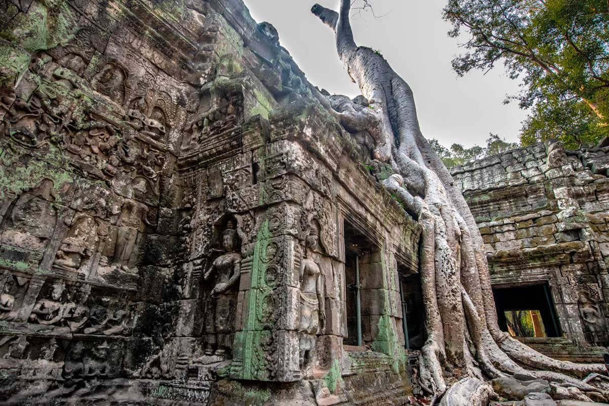 Siem Reap temples -Ta Prohm