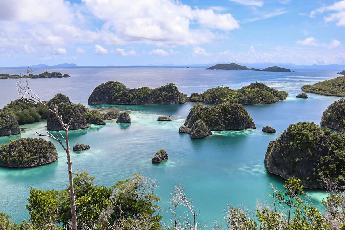 Stunning Raja Ampat panorama