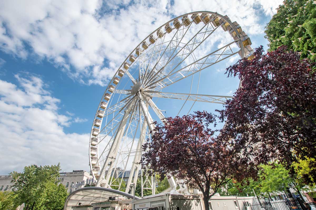 Budapest Eye with spring trees around it