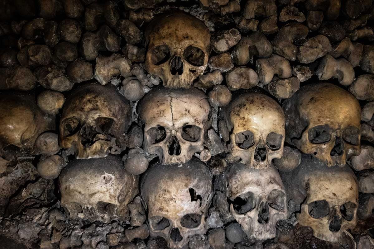 Skulls from the Paris Catacombs
