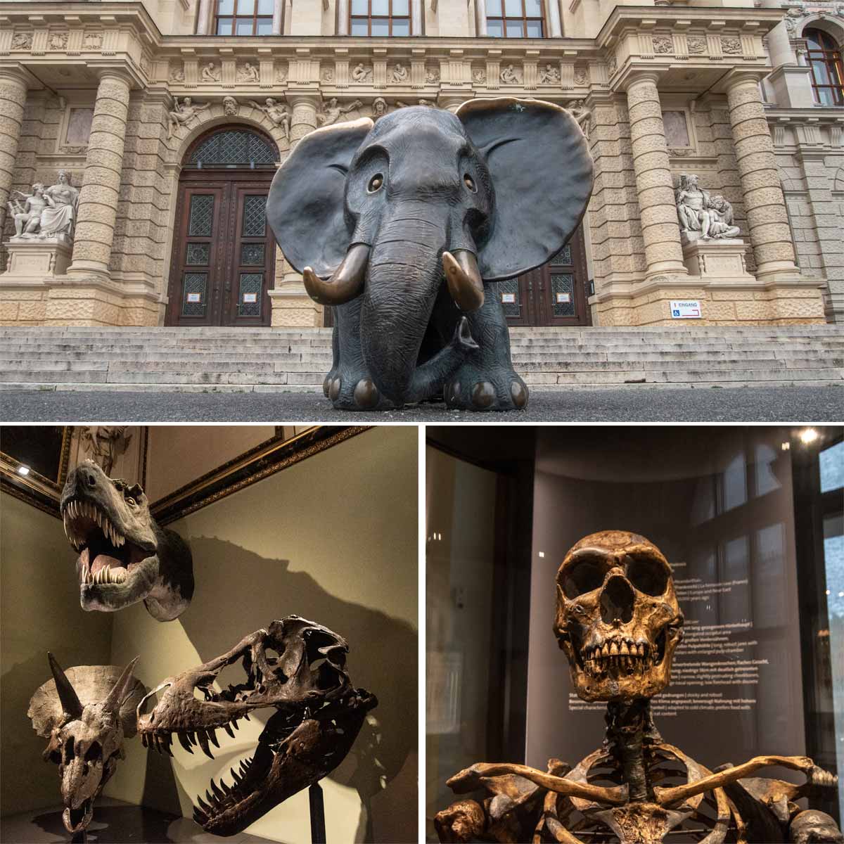 Vienna Natural History Museum