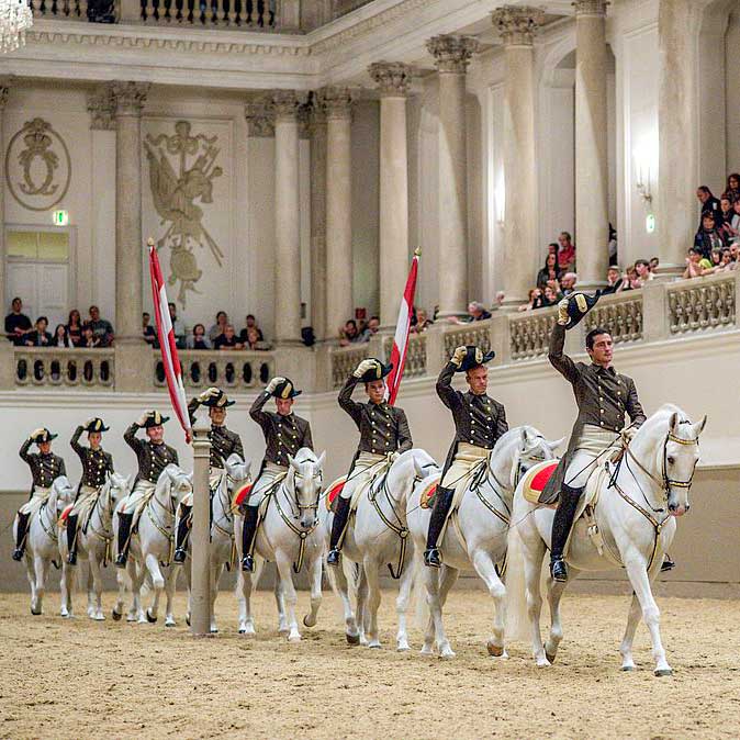 Spanish Riding school show