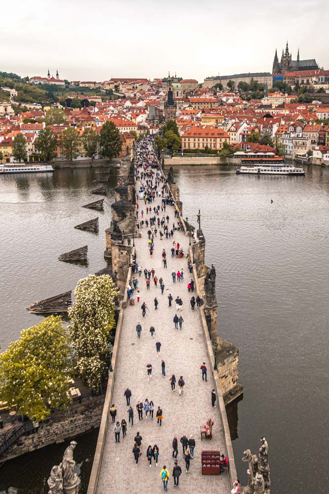 view-from-Charles-Bridge-Tower