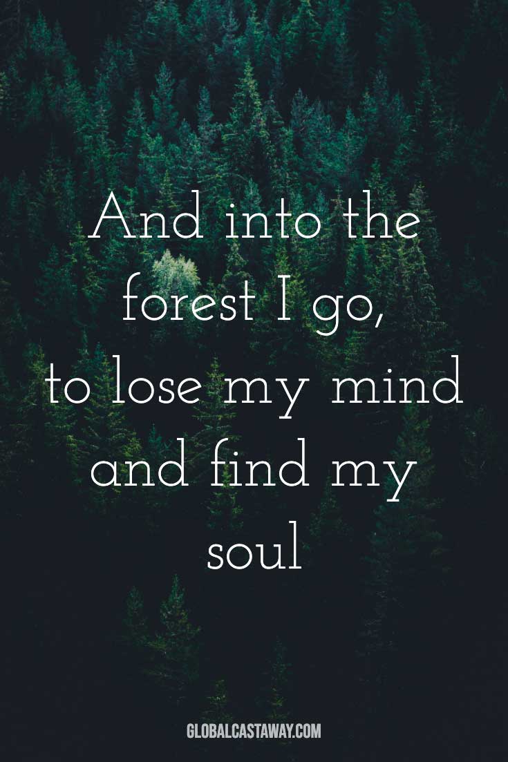 and-into-the-forest-i-go-to-lose-my-mind-and-find-my-soul