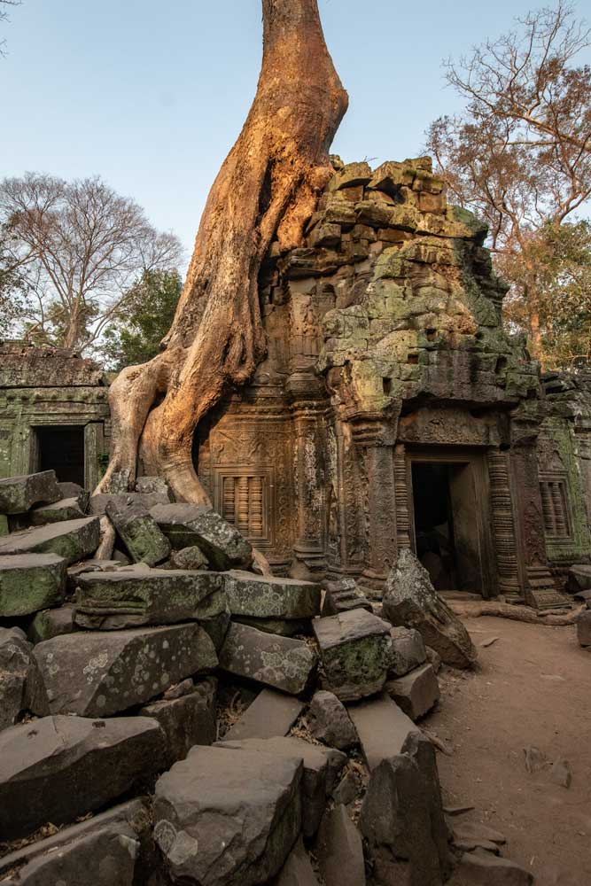 visit-ta-prohm-on-day-3