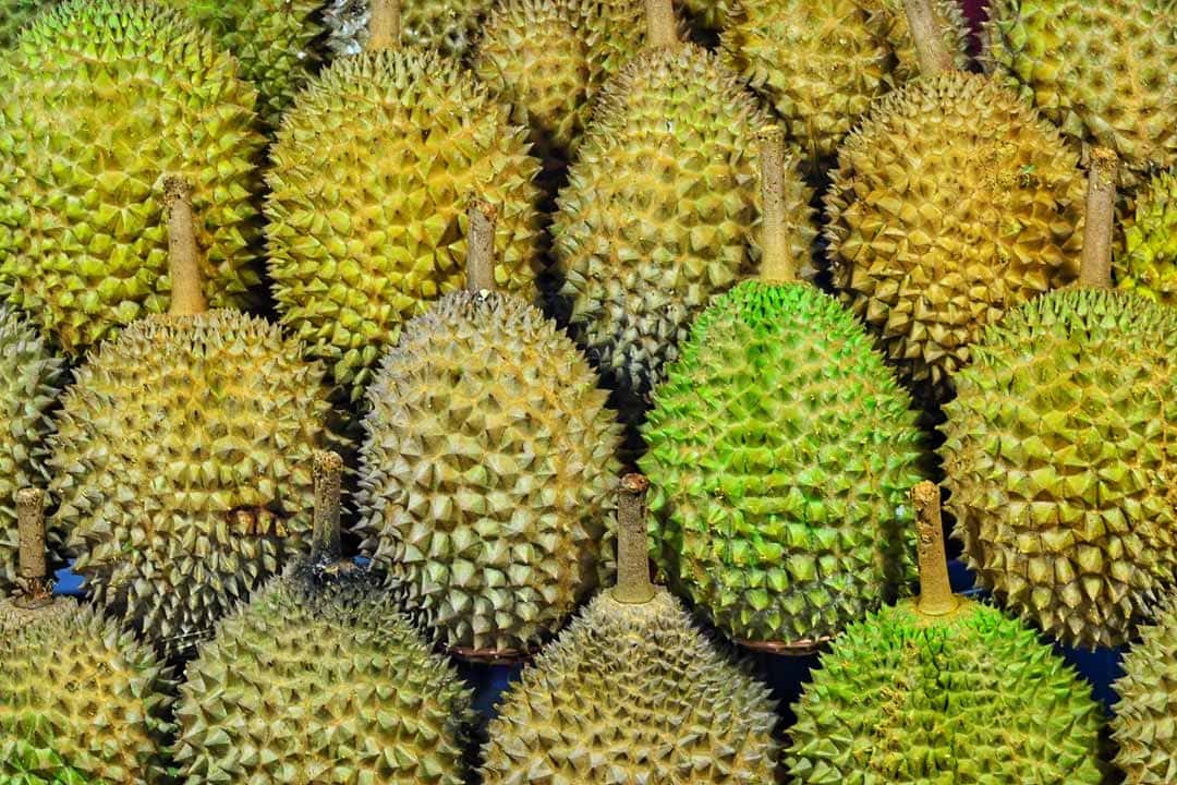 what not to do in thailand - durian