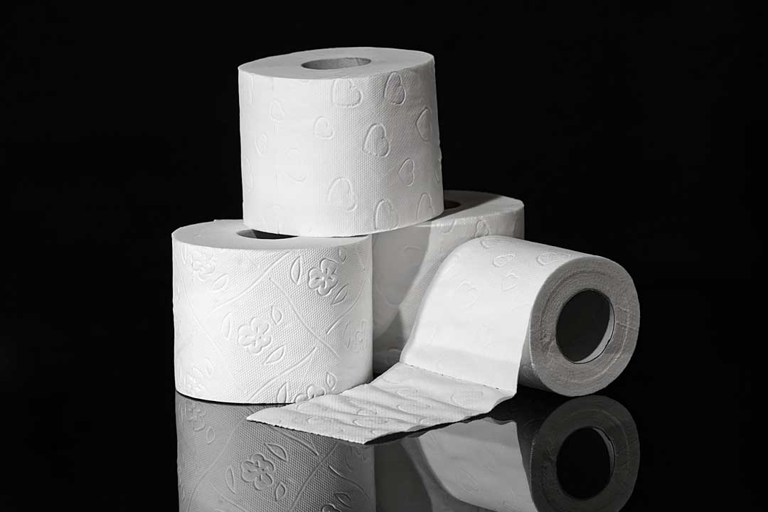 toilet paper photo