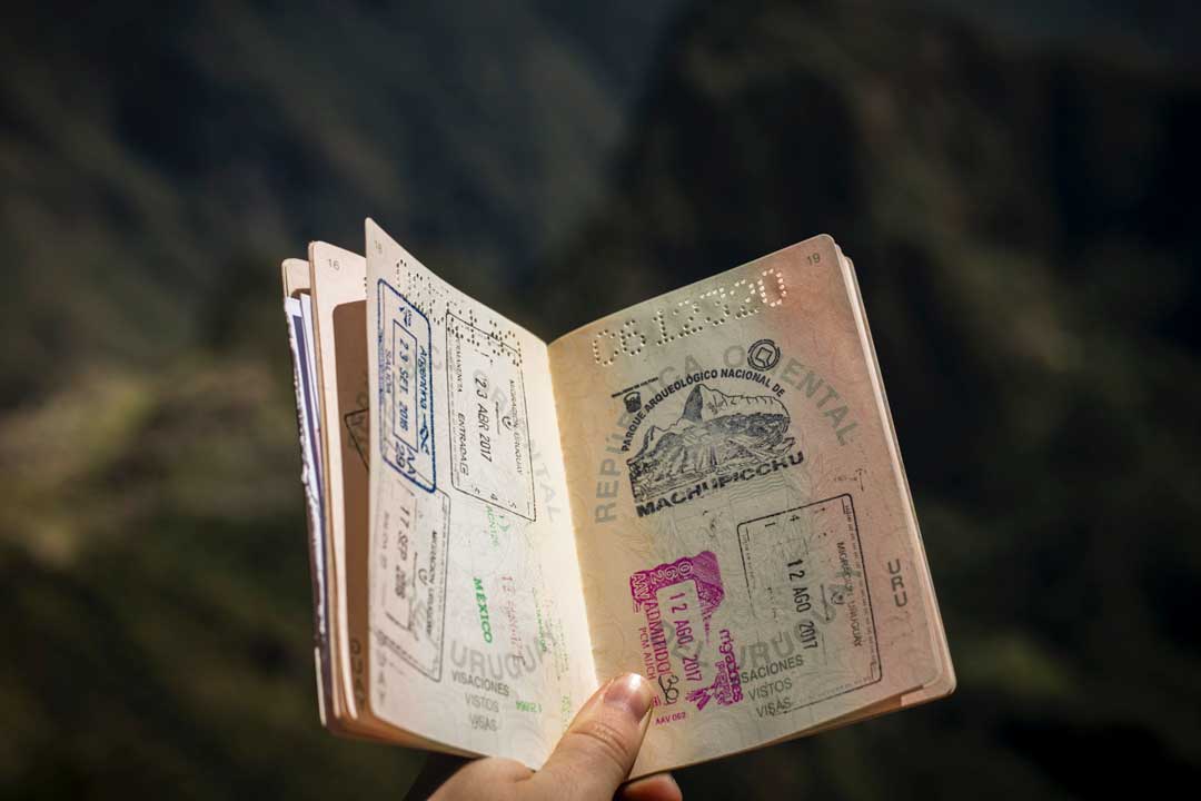 passport photo