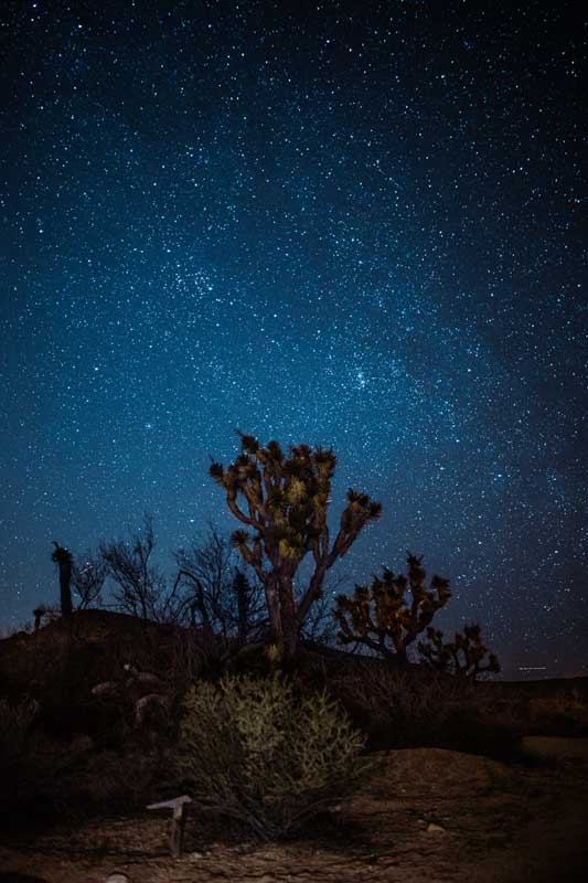 stargazing-in-wadi-rum