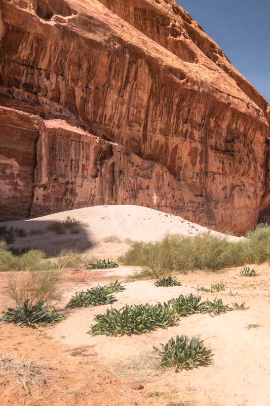 white-sand-dune-in-wadi-rum