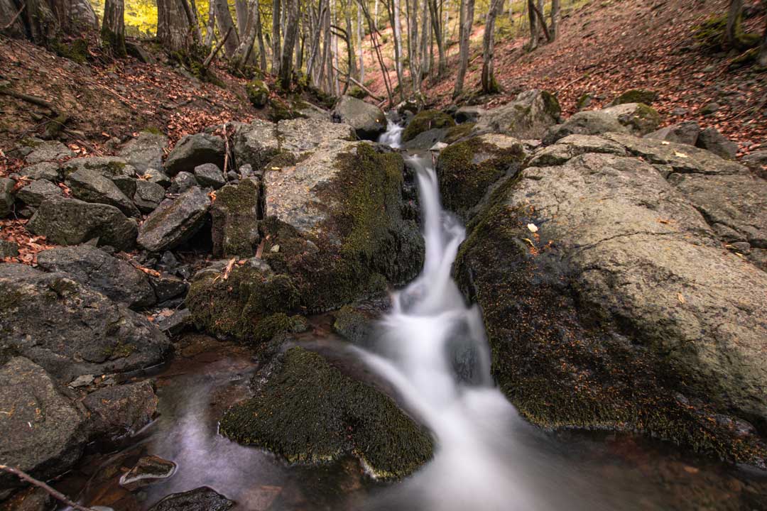 river in the Simeonovo area