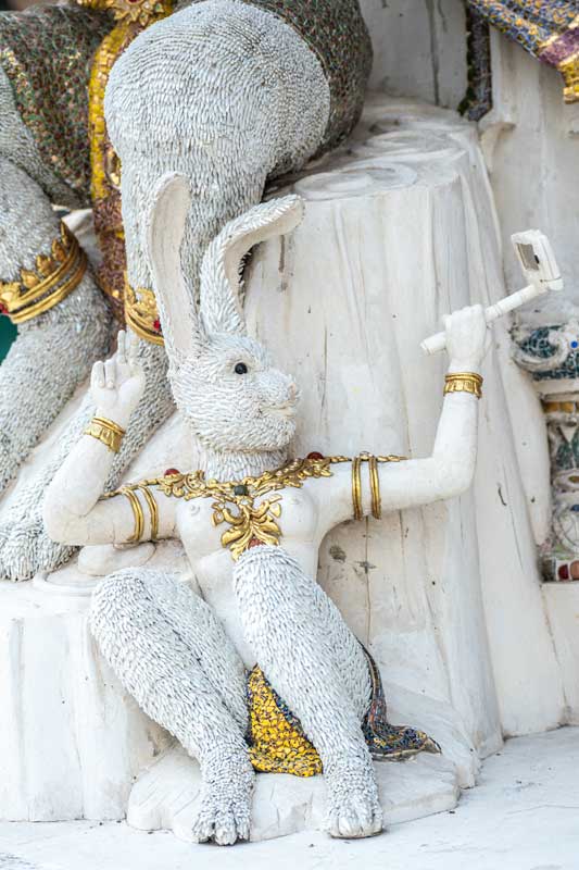 bunny-taking-selfie-in-wat-pariwat-bangkok