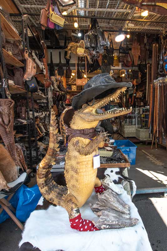 what is bangkok famous for crocodile-at-chatuchak-market