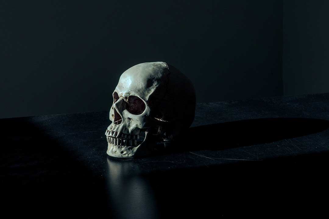 skull-close-up