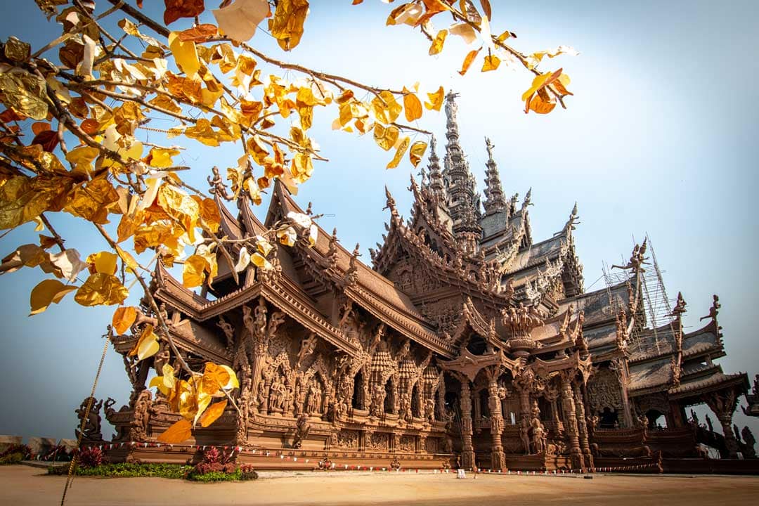 sanctuary-of-truth under a golden tree