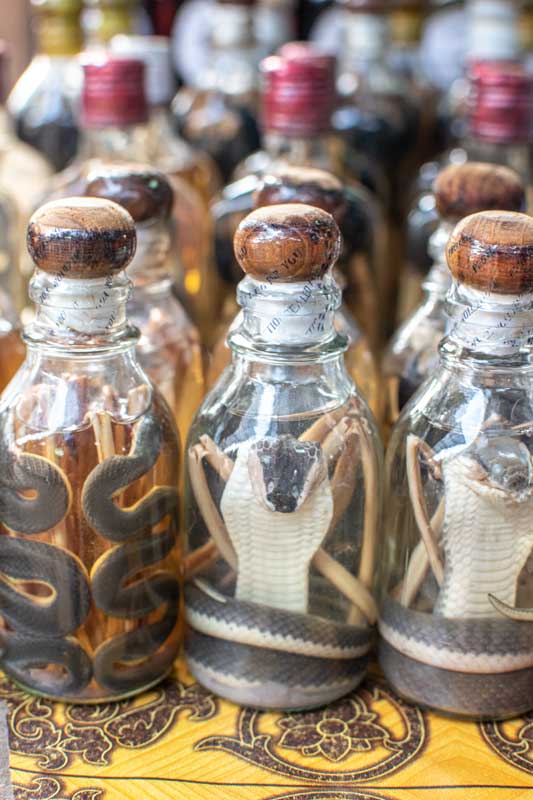 snake-whiskey-in-laos