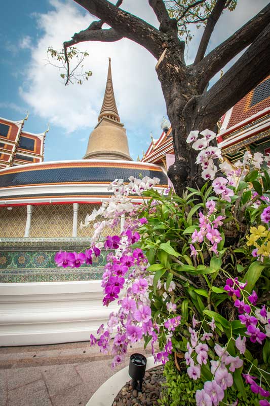 when-to-visit-bangkok