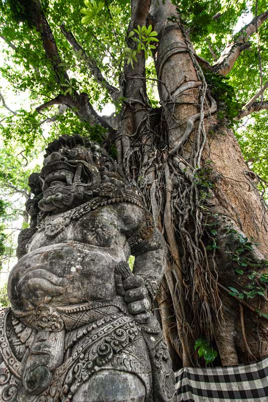 indonesia-landmarks-monkey-forest