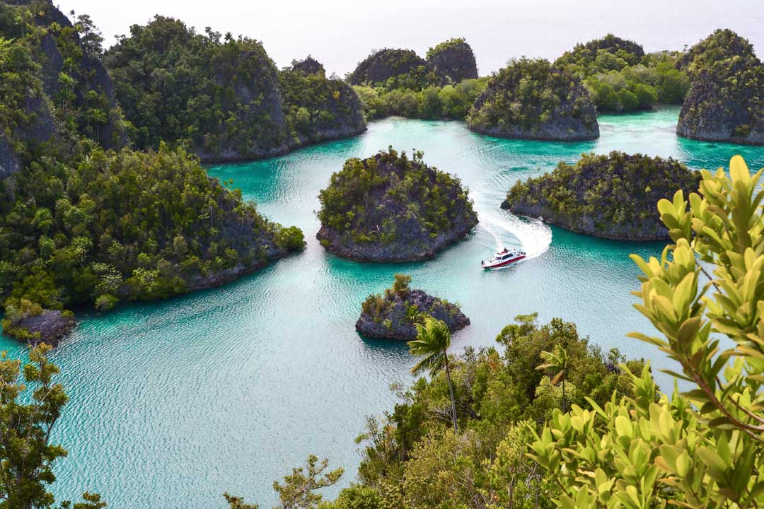 bird-ee view of-raja-ampat islands