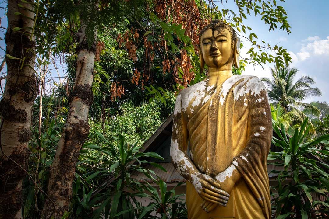 golden-budha-statue-with-jungle-background
