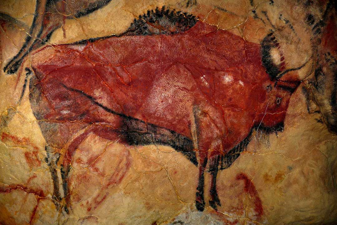 bison-drawing-inside-altamira-cave