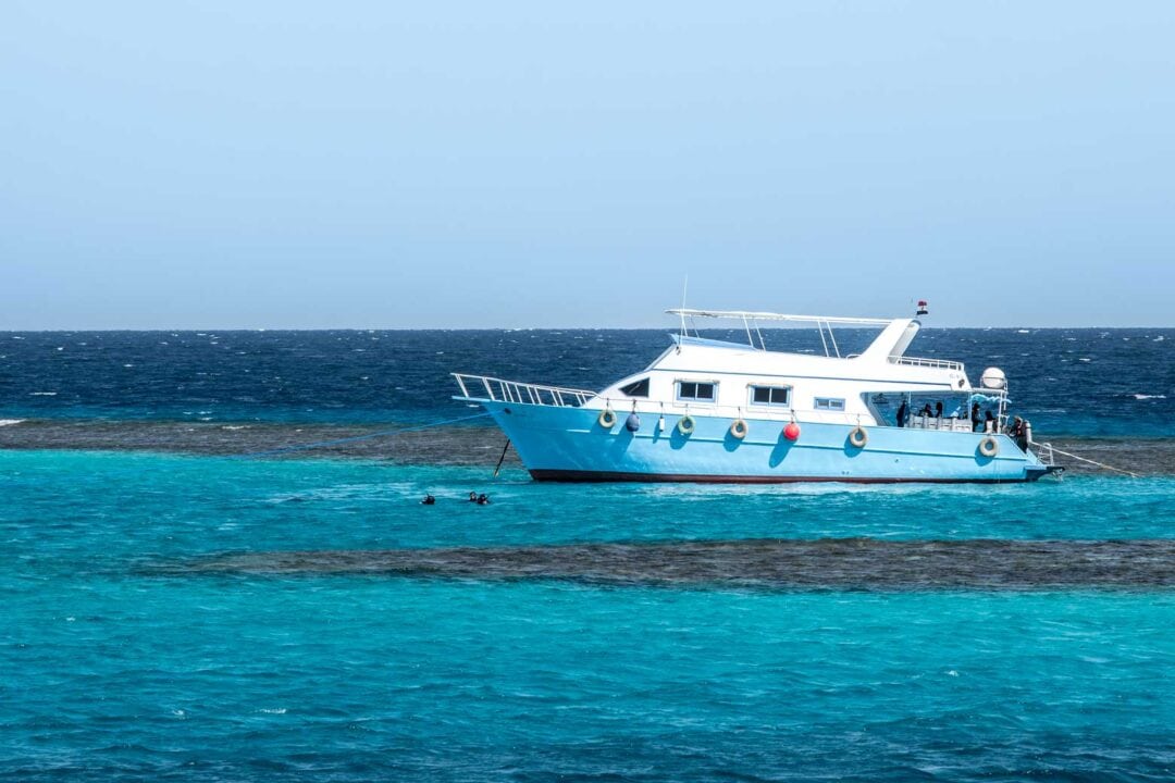 yachting in the red sea