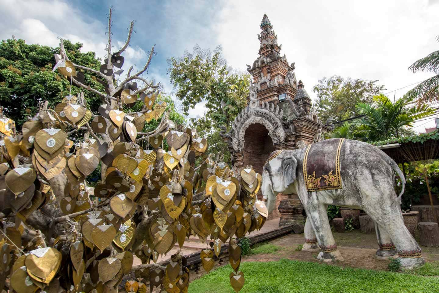 fun facts about chiang mai - tree with golden leafs and elephant statue