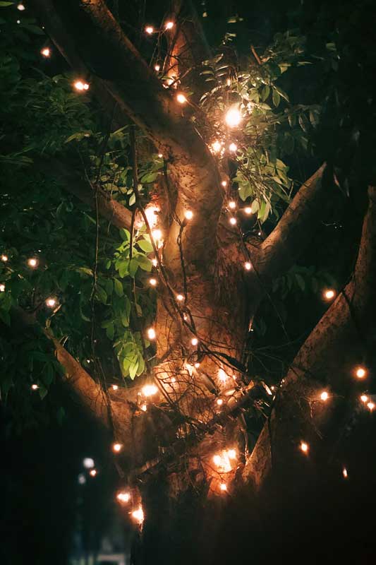 lighten-tree