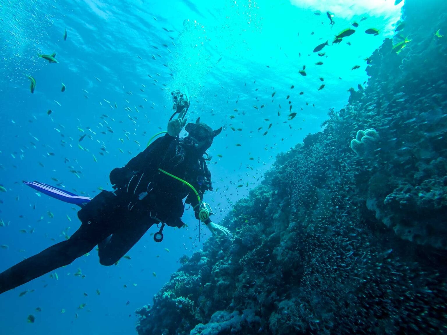 yachting in the red sea