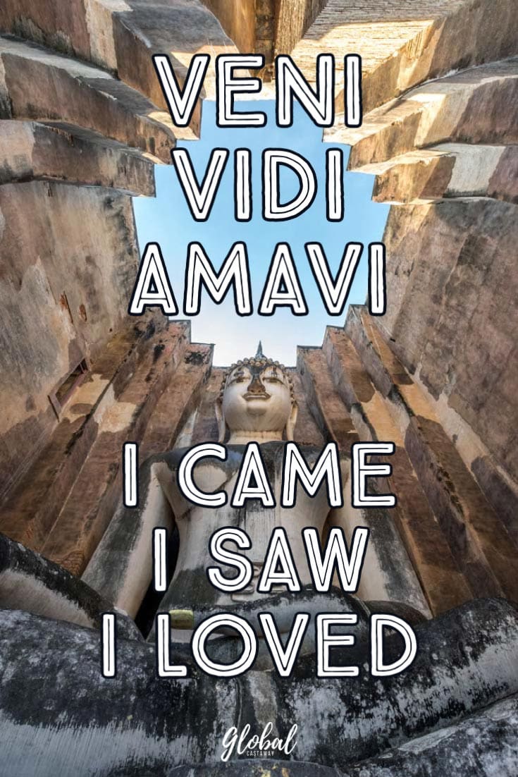 veni-vidi-amavi