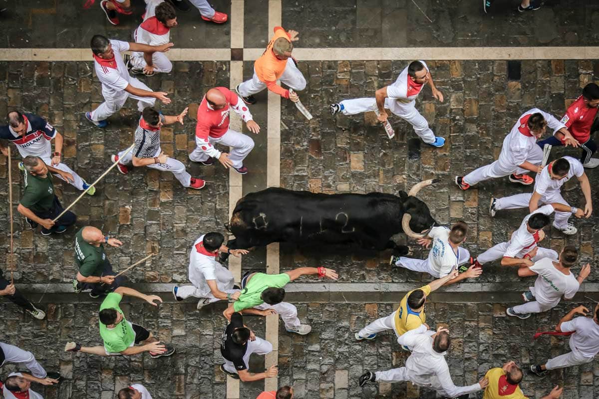 bird-eye-view-of-a-bull-run