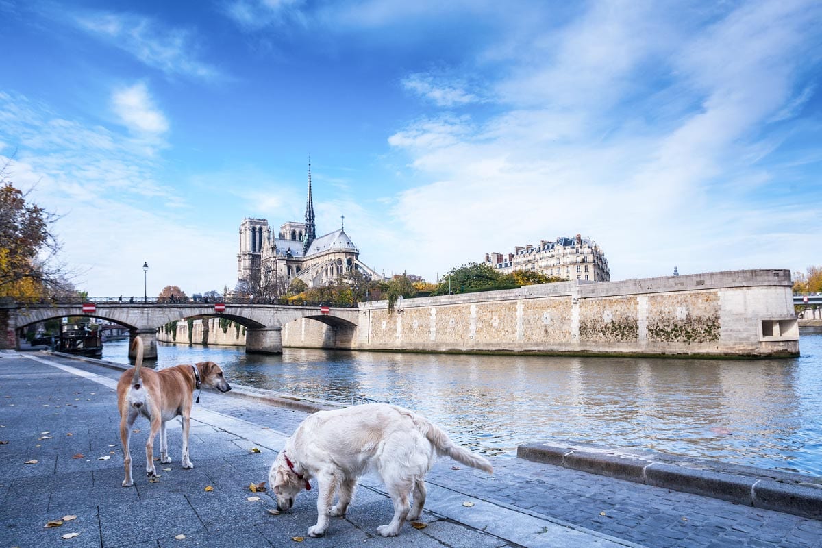 15 Curious Facts about the Pont Neuf, Paris