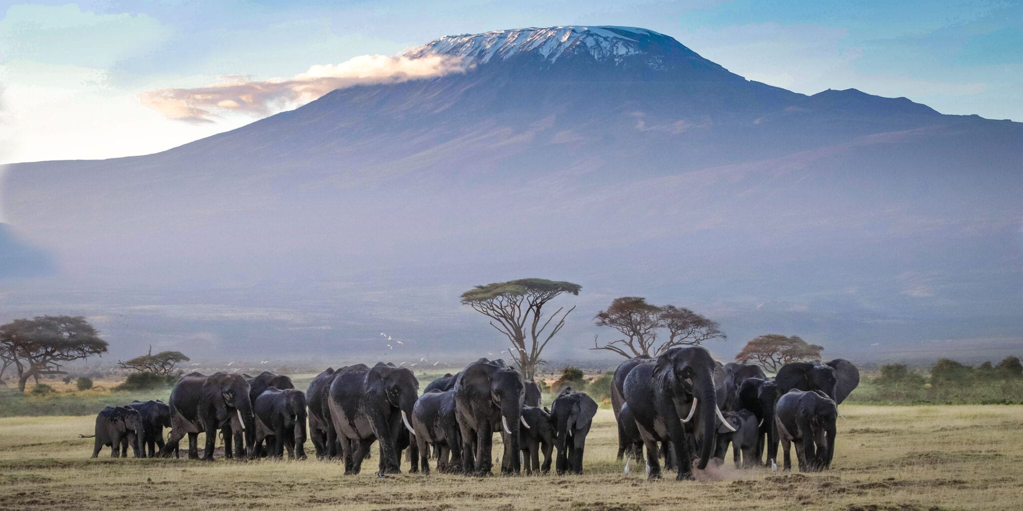 Top 20 Biggest Landmarks in Africa (2022)